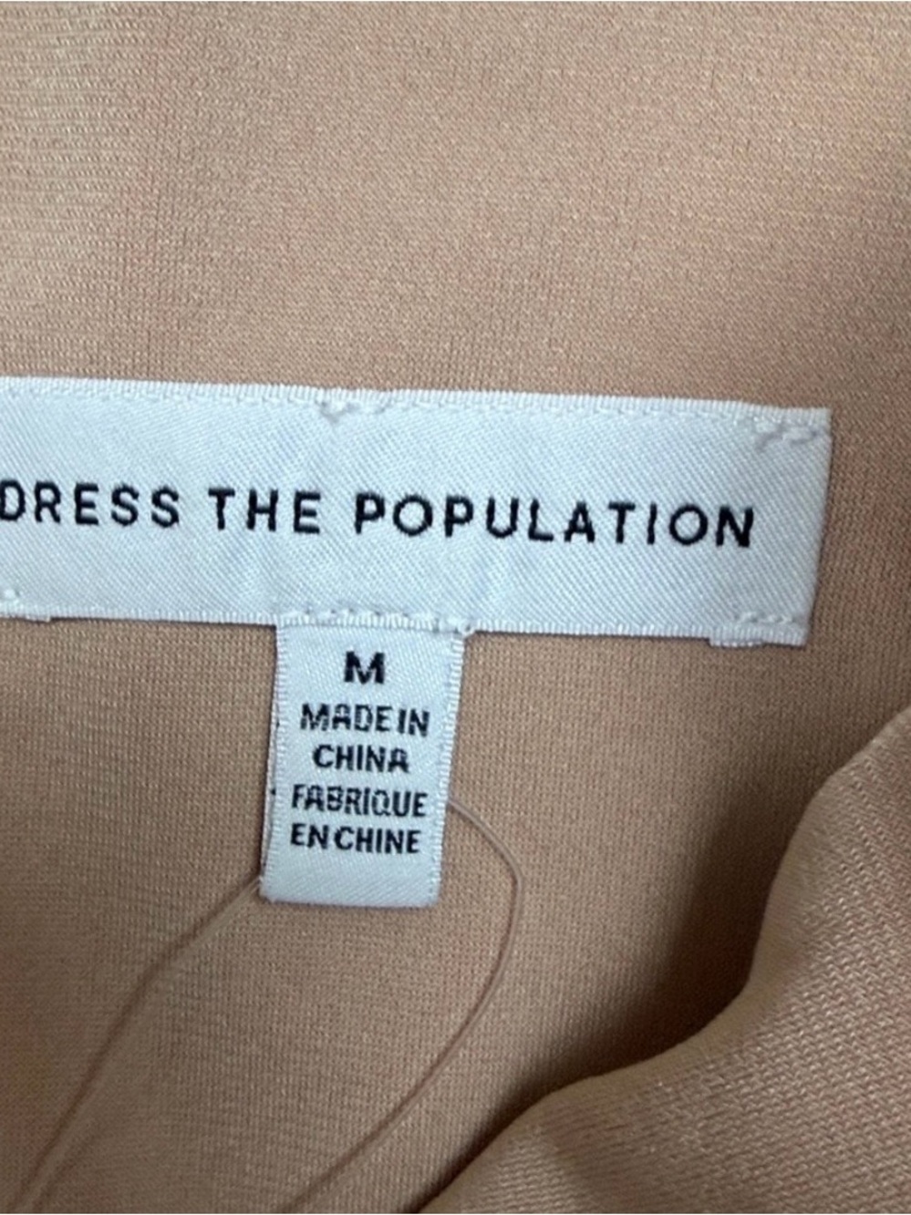 Dress the Population Sheer Floral Appliqué Maxi Dress in Silver - Picture 6 of 6